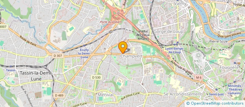 localisation de l'entreprise BIZMO 69  LYON