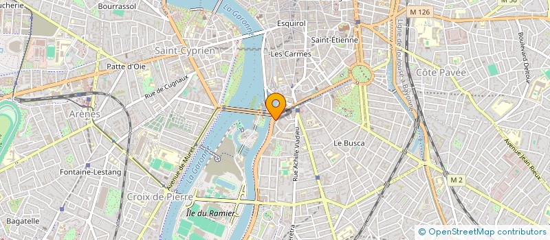 localisation de l'entreprise BIZNESS CONSEIL à TOULOUSE