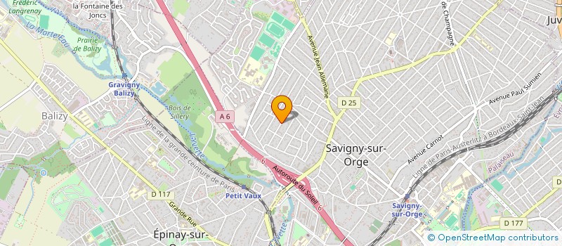 localisation de l'entreprise BKO ANALYTICS à SAVIGNY-SUR-ORGE