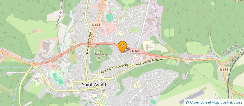 localisation de l'entreprise BKZ BUISNESS  SAINT-AVOLD