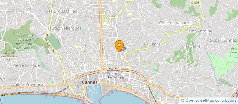 localisation de l'entreprise BLACK CARD SERVICE à CANNES