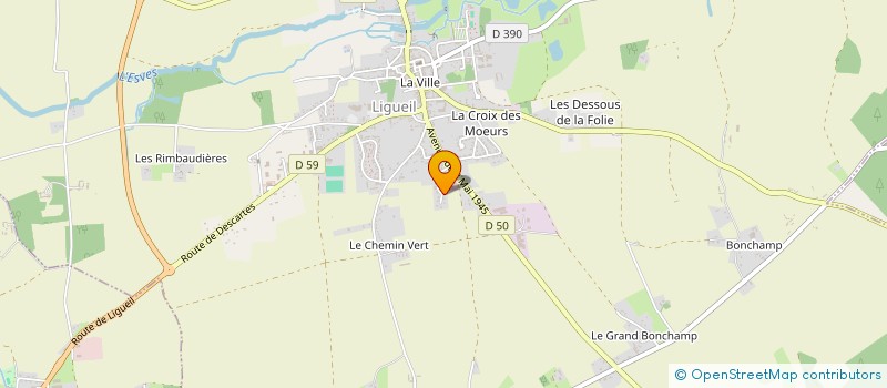 localisation de l'entreprise BLACK DRAGON BILLARD CLUB  LIGUEIL