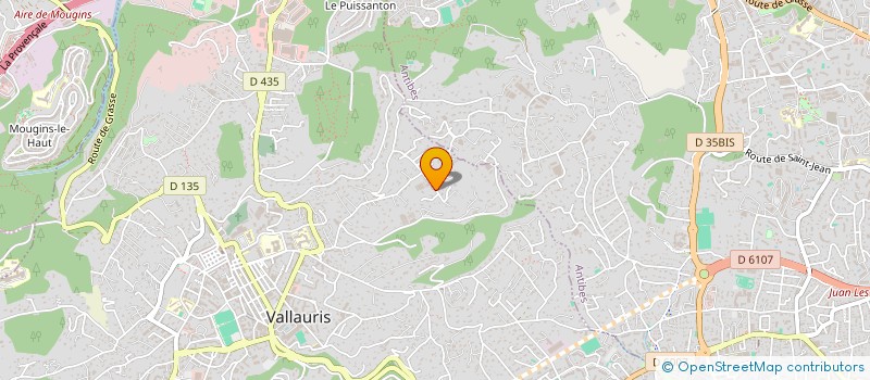 localisation de l'entreprise BLACK LOTUS  VALLAURIS