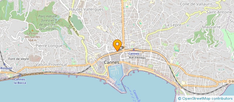 localisation de l'entreprise BLACK PUPPY CANNES à CANNES