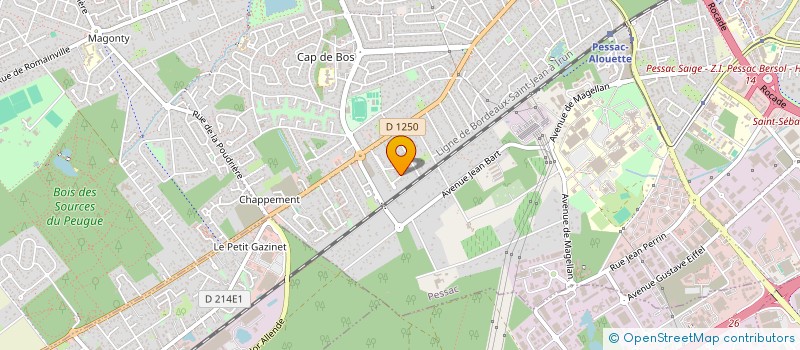 localisation de l'entreprise BLACK ROSES SOCIETY (BORDEAUX) - BRS  PESSAC