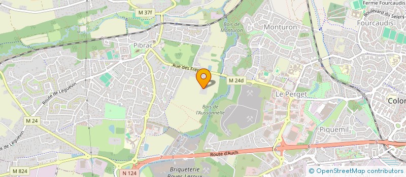 localisation de l'entreprise BLACK WOOD  PIBRAC