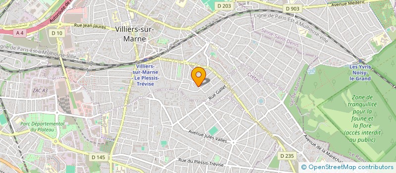 localisation de l'entreprise BLACKSTARS PROD  VILLIERS-SUR-MARNE