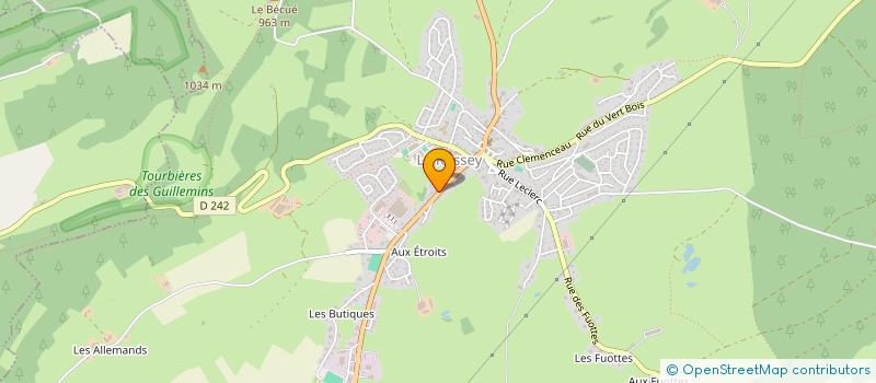 localisation de l'entreprise BLAISE  LE RUSSEY