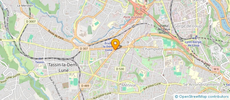 localisation de l'entreprise BLANC D'ETOILE  TASSIN-LA-DEMI-LUNE