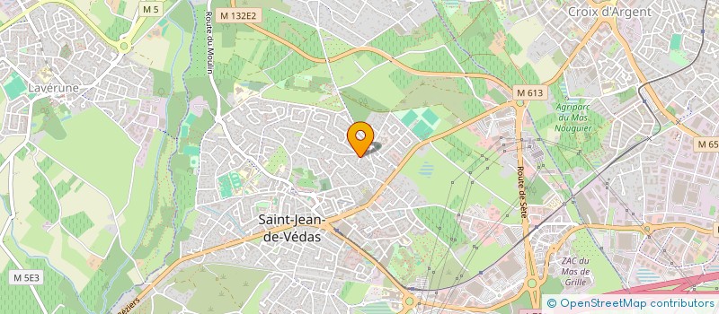 localisation de l'entreprise BLAS & CO  SAINT-JEAN-DE-VEDAS