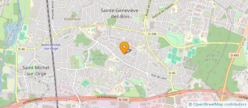 localisation de l'entreprise BLESSING HOUSE CLEANING & TRADING à SAINT-MICHEL-SUR-ORGE