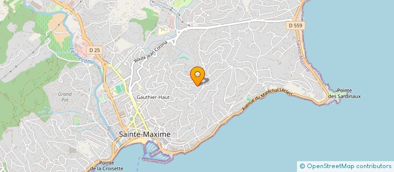 localisation de l'entreprise BLEU AZUR à SAINTE-MAXIME