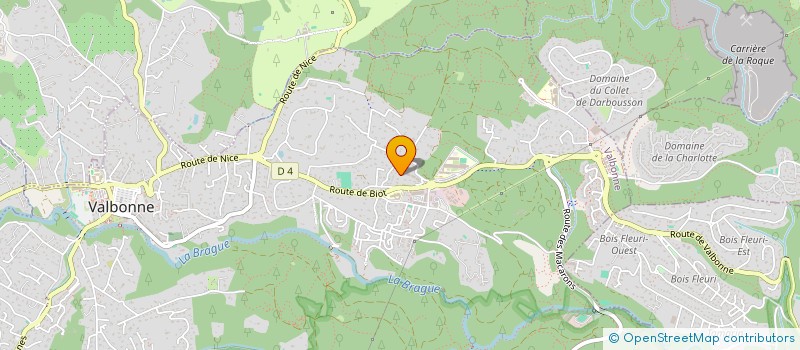 localisation de l'entreprise BLEU AZUR HOLDING  VALBONNE