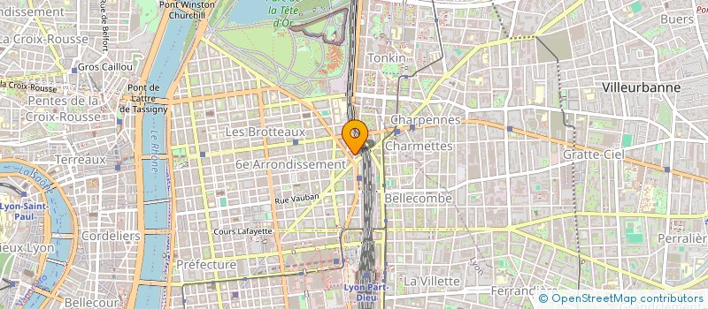 localisation de l'entreprise BLEU CERISE  LYON