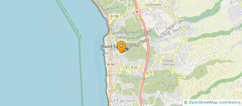 localisation de l'entreprise BLEU DIFFUSION  SAINT-LEU