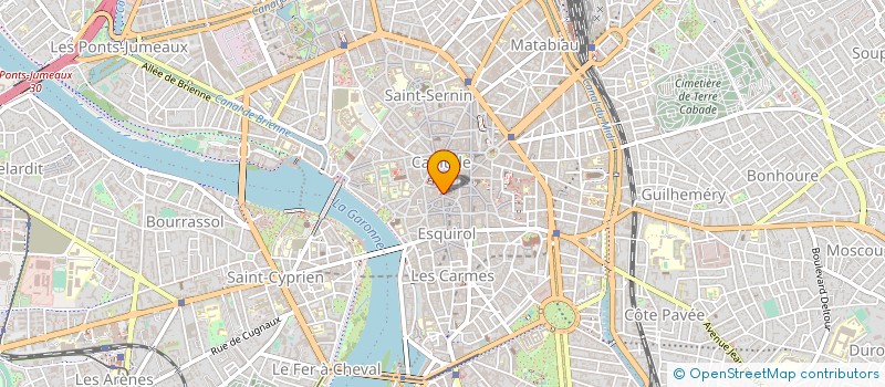 localisation de l'entreprise BLEU ELECT à TOULOUSE