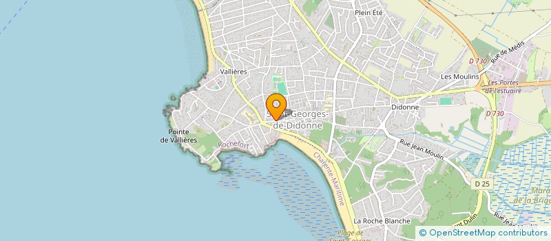 localisation de l'entreprise BLEU MARINE CHAUSSEUR  SAINT-GEORGES-DE-DIDONNE