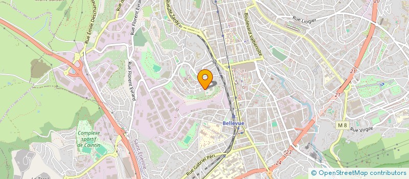 localisation de l'entreprise BLIMELA LODGE SERVICE  SAINT-ETIENNE