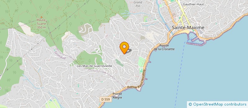localisation de l'entreprise BLISSNESS RP à SAINTE-MAXIME
