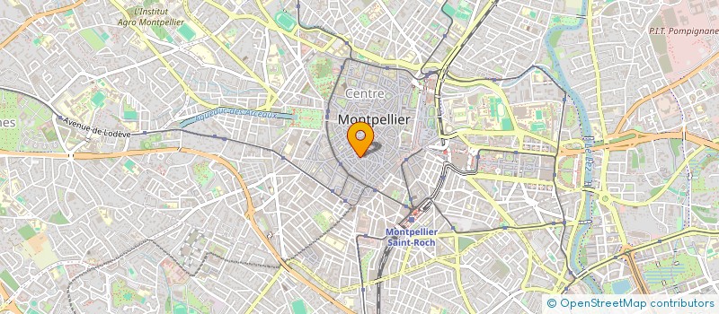 localisation de l'entreprise BLOO CONCEPT STORE  MONTPELLIER