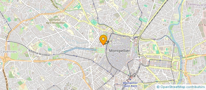 localisation de l'entreprise BLOOMING à MONTPELLIER