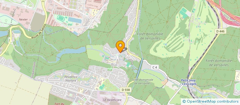 localisation de l'entreprise BLOOMING MIND  BUC