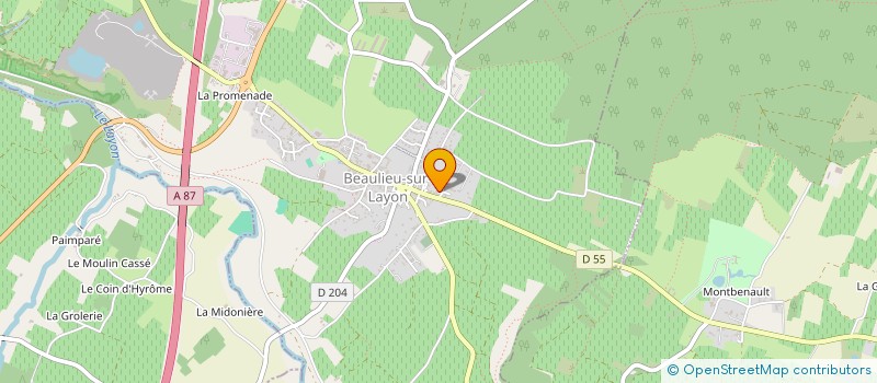 localisation de l'entreprise BLR IMMOBILIER  BEAULIEU-SUR-LAYON