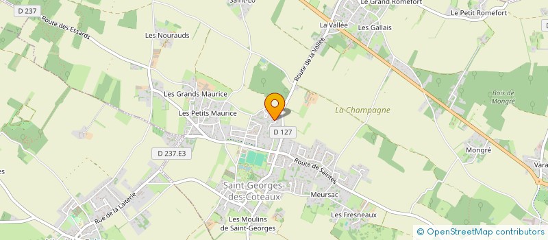 localisation de l'entreprise BLS  SAINT-GEORGES-DES-COTEAUX