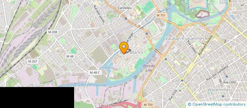 localisation de l'entreprise BLUE EMS à LILLE
