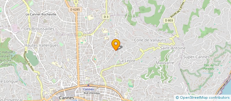 localisation de l'entreprise BLUE GARDEN SPIRITS  CANNES