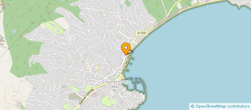 localisation de l'entreprise BLUE HORIZONS EVENTS à CAVALAIRE-SUR-MER