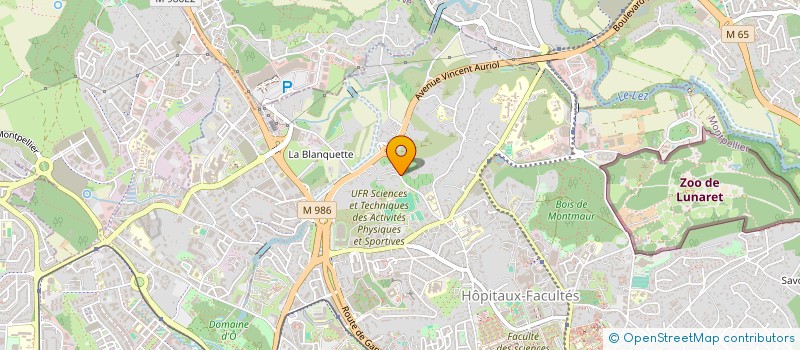localisation de l'entreprise BLUE MONKEY  MONTPELLIER