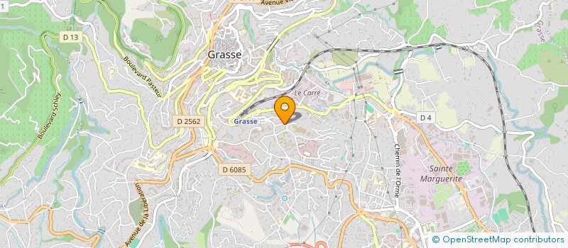 localisation de l'entreprise BLUE RIVIERA DRIVER  GRASSE