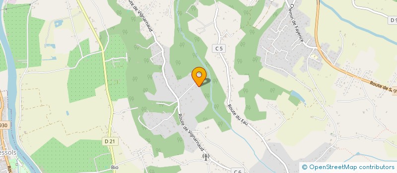 localisation de l'entreprise BLUE TIGER  MONTAUBAN