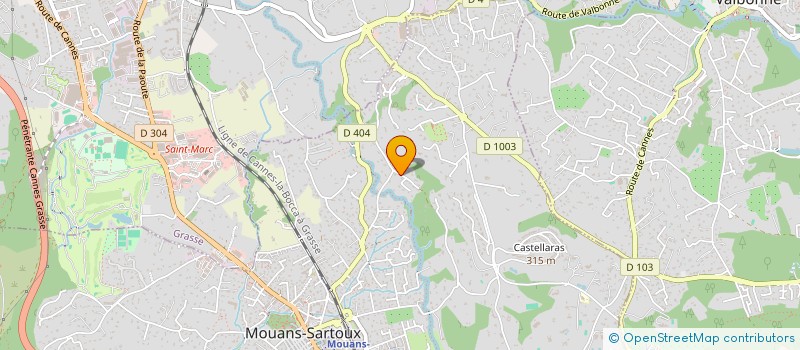 localisation de l'entreprise BLUESOFT ORGANISATION  MOUANS-SARTOUX