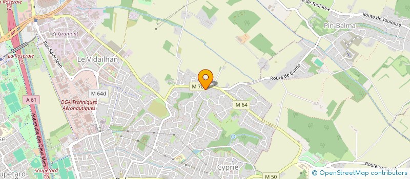 localisation de l'entreprise BLV1 CONSEILS à BALMA