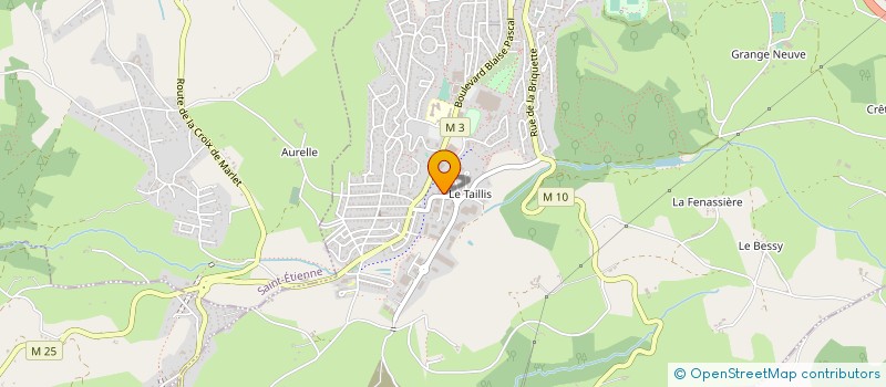 localisation de l'entreprise BM AUTO ET ASSOCIES  ROCHE-LA-MOLIERE