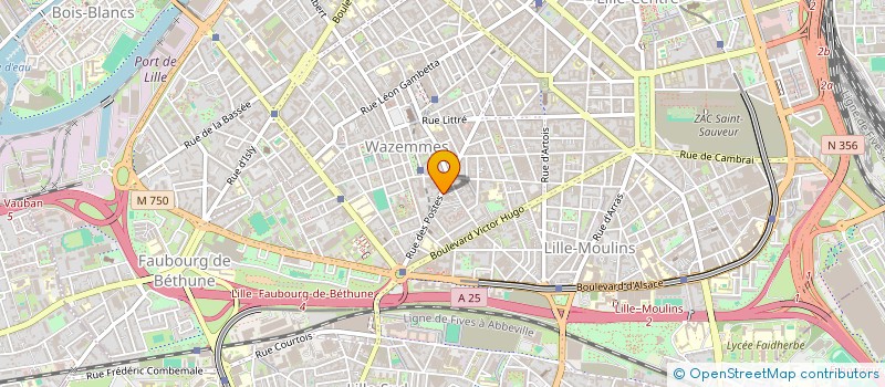 localisation de l'entreprise BM BAZAR à LILLE