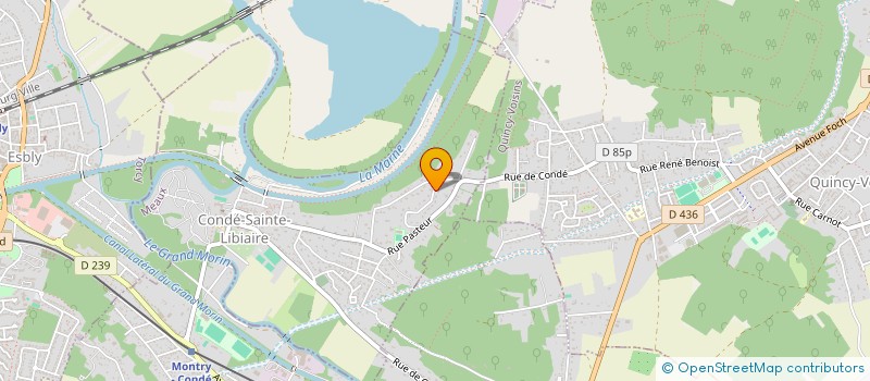 localisation de l'entreprise BM CONSEIL ET SERVICES  CONDE-SAINTE-LIBIAIRE