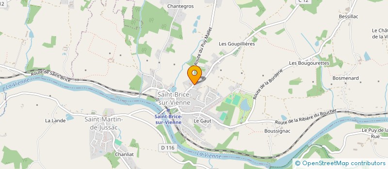 localisation de l'entreprise BM IMMO  SAINT-BRICE-SUR-VIENNE