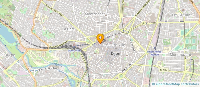 localisation de l'entreprise BM IMMOBILIER EURL  DIJON