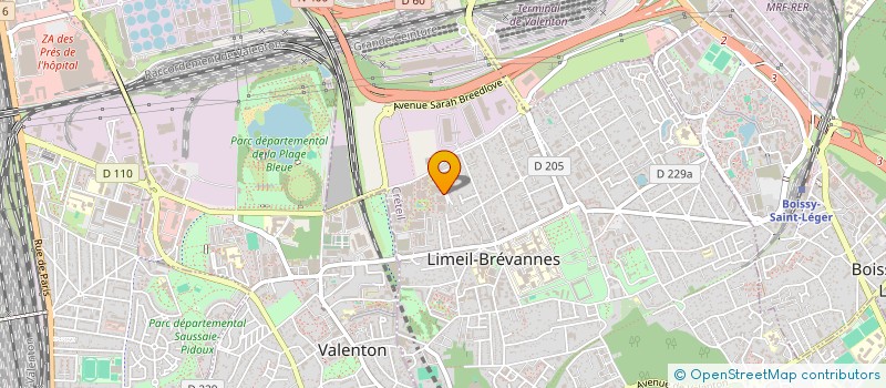 localisation de l'entreprise BM TRANS à LIMEIL-BREVANNES