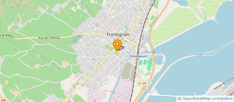 localisation de l'entreprise BOIS DU MONDE à FRONTIGNAN