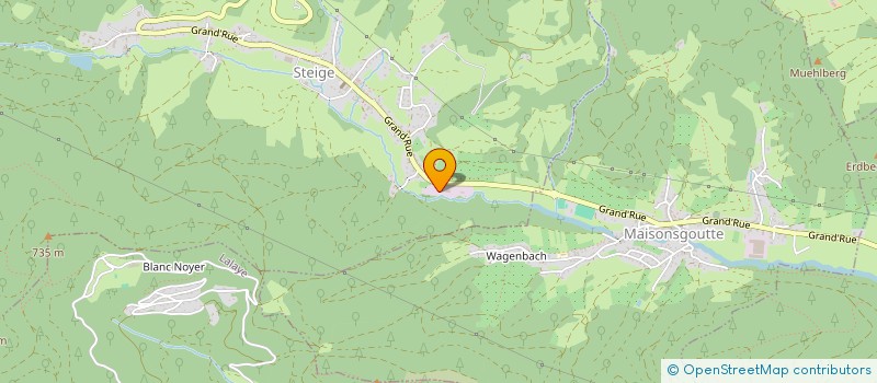 localisation de l'entreprise BOIS ET SCIAGE DE STEIGE  STEIGE