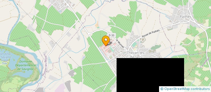 localisation de l'entreprise BOIS EXOTIQUE MEDITERRANEE  THEZAN-LES-BEZIERS