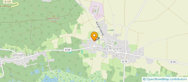 localisation de l'entreprise BOIS FEUILLE CISEAUX  SACY-LE-GRAND