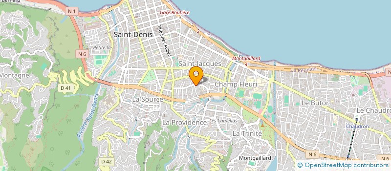 localisation de l'entreprise BOIS VERT à SAINT-DENIS