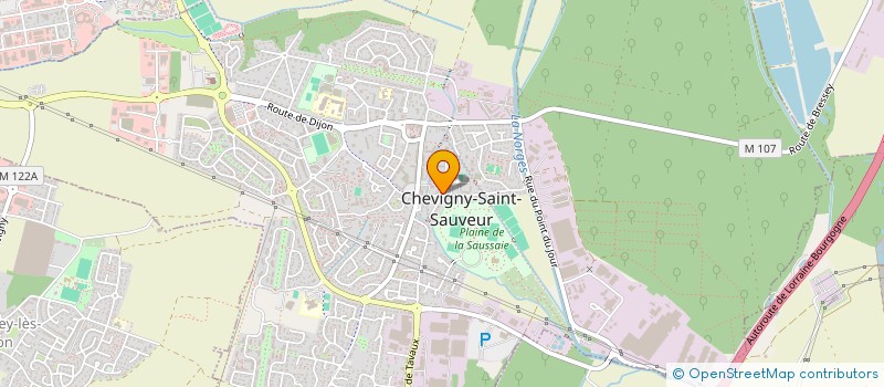 localisation de l'entreprise BOISJOT CLEMATITES  CHEVIGNY-SAINT-SAUVEUR