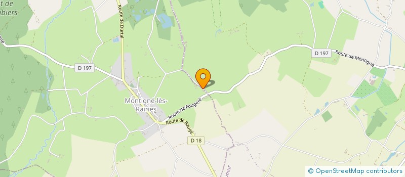 localisation de l'entreprise BOISSEAU  SEICHES-SUR-LE-LOIR