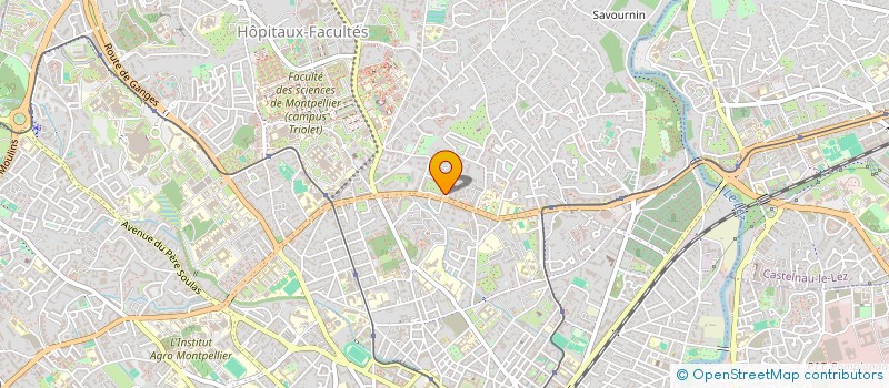 localisation de l'entreprise BOISSY PINARD à MONTPELLIER
